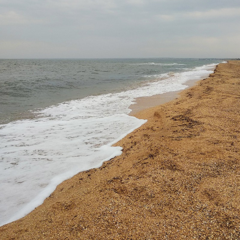 Берег Азовского моря в Крыму фото